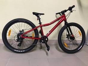 Велосипед Bergamont Revox 24" 2022 Lite Girl 31см 