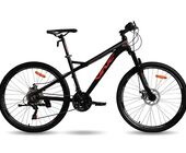 Велосипед VNC Mont Rider A-4 29"