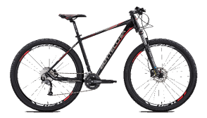 Велосипед Bottecchia 29" 125 MTB  C02