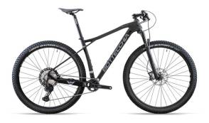 Велосипед Bottecchia 29" ORTLES 297+ MTB DEORE 12S C21