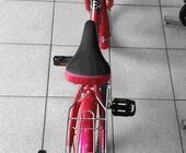 Велосипед RUEDA Gollop  16" 