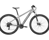 Bergamont Revox 3  29"  2021 grey