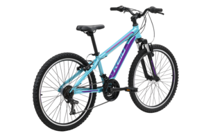 Велосипед Reid Scout 24''
